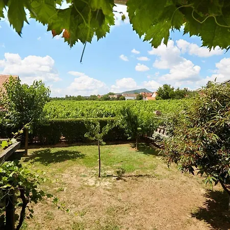 Troszt Pince Appartement Villány