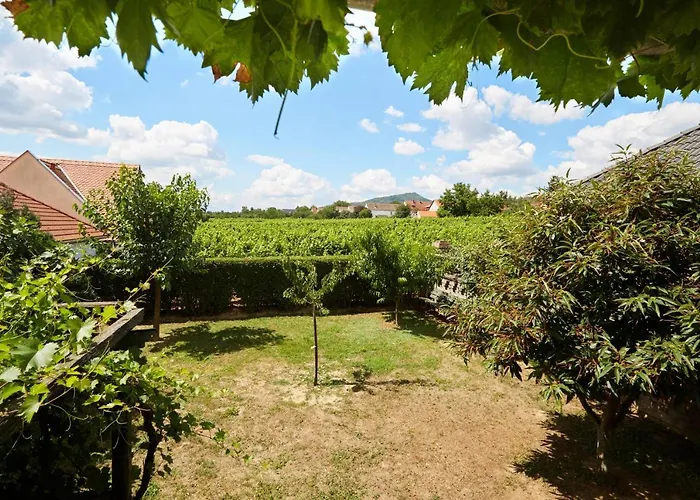 Troszt Pince Apartment Villany